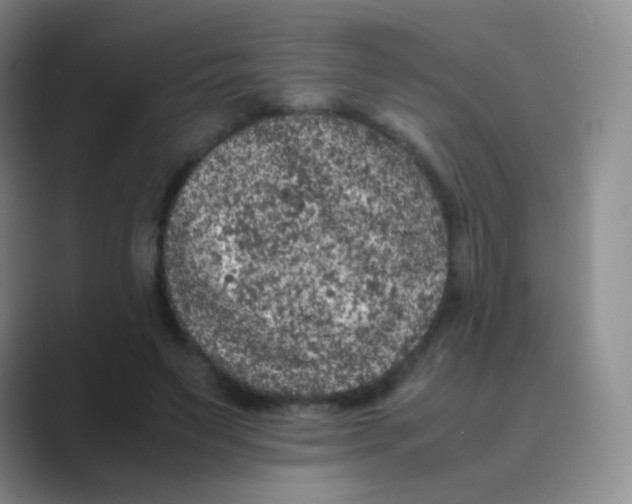 X0000088700495200706282026