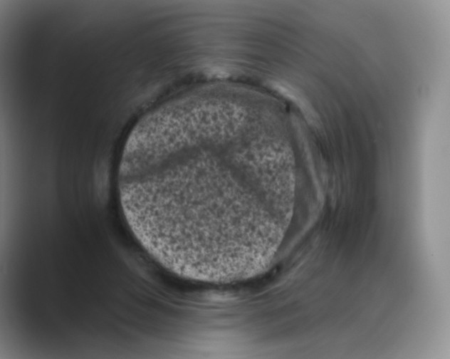 X0000088700496200706282026