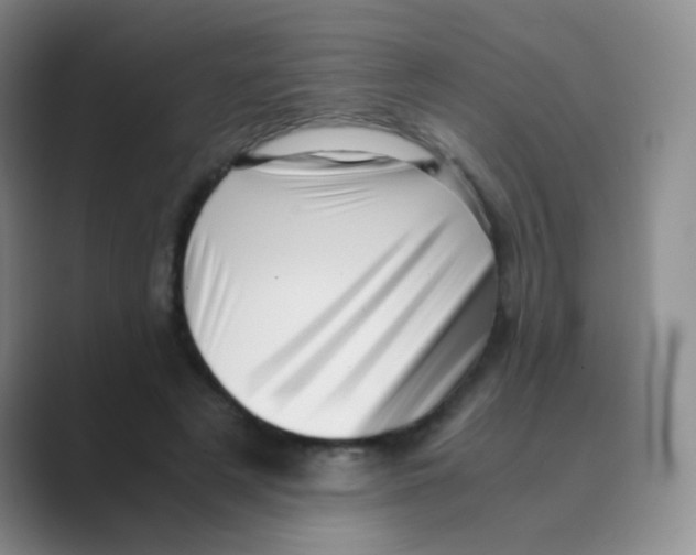 X0000088700497200706282026