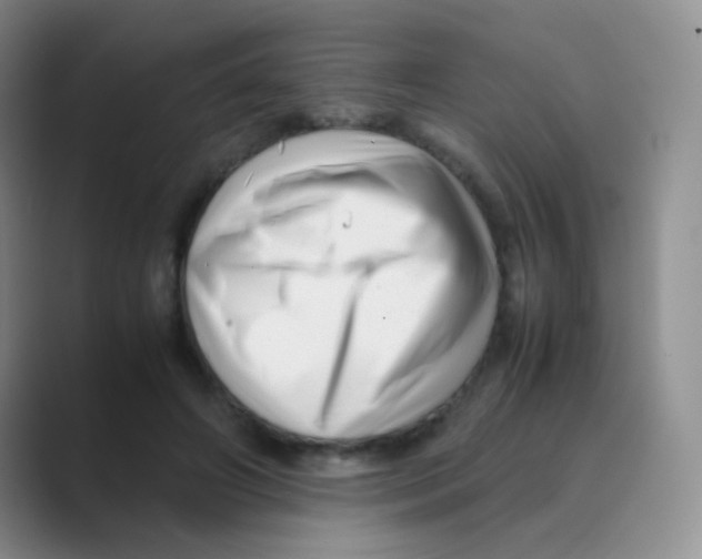 X0000088700498200706282026