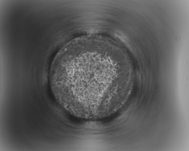 X0000088700499200706282026