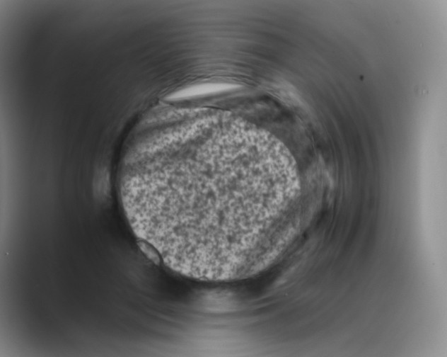 X0000088700500200706282026