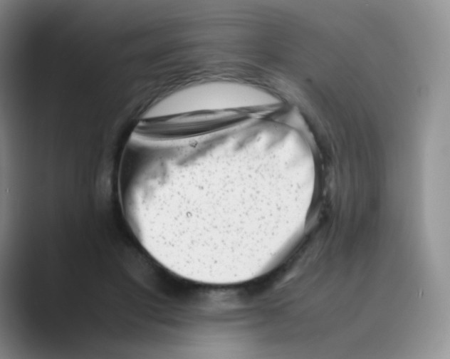 X0000088700501200706282026