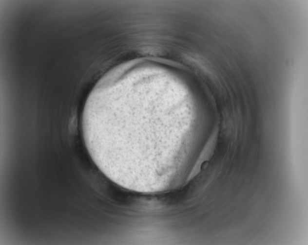 X0000088700502200706282026