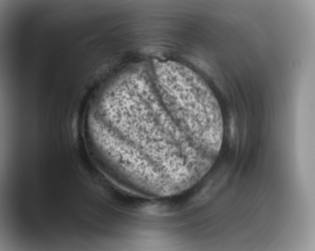 X0000088700504200706282026