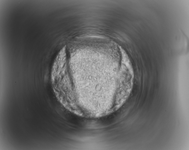 X0000088700507200706282026