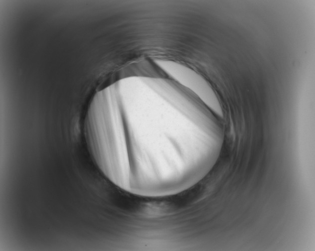 X0000088700508200706282026