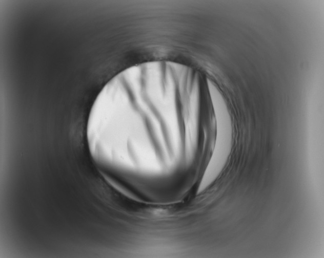 X0000088700509200706282025