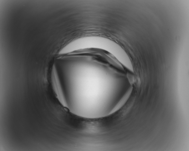 X0000088700512200706282025