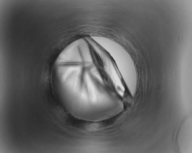 X0000088700513200706282025