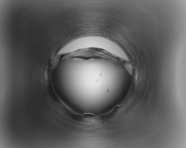 X0000088700516200706282025