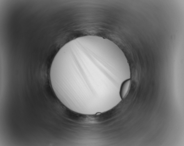 X0000088700518200706282025