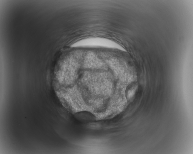 X0000088700519200706282025