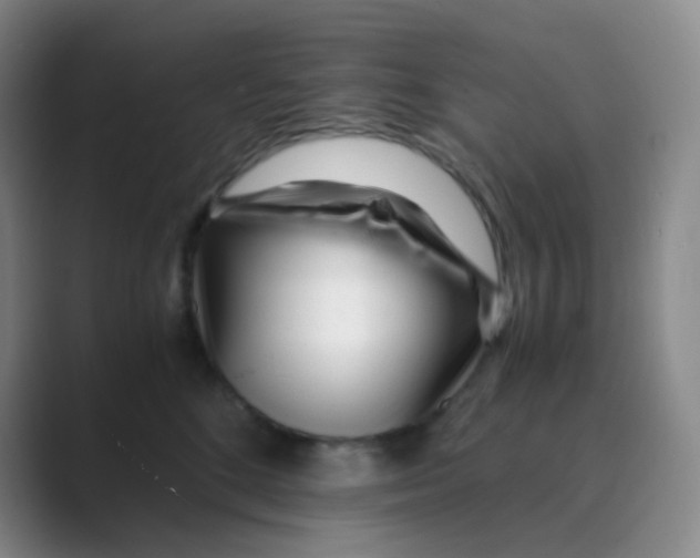 X0000088700520200706282025