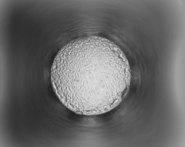 X0000088700523200706282025