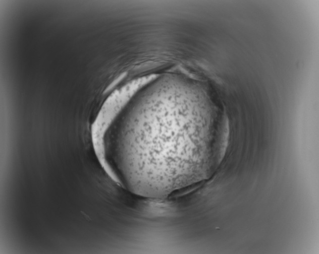 X0000088700528200706282025