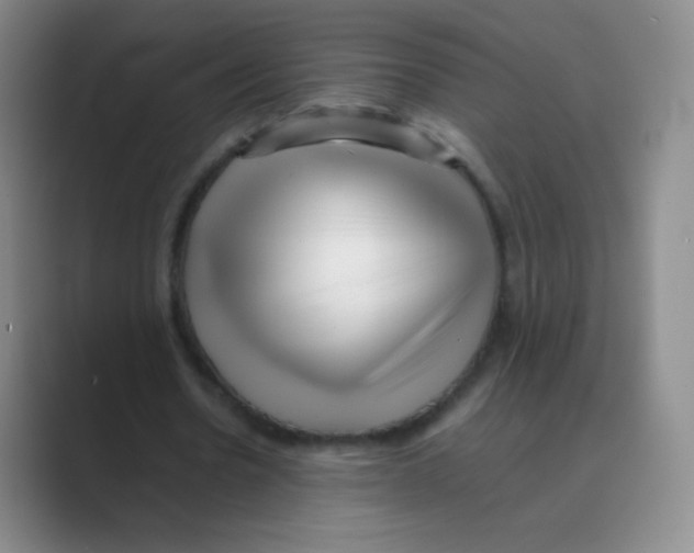 X0000088700530200706282025