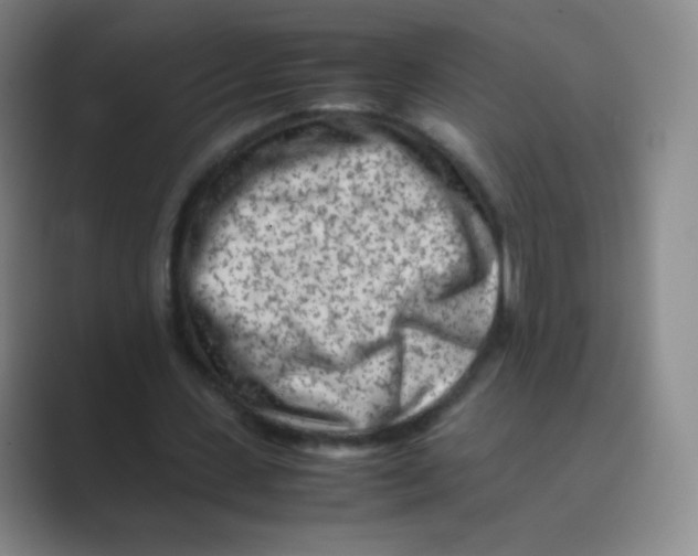 X0000088700531200706282025