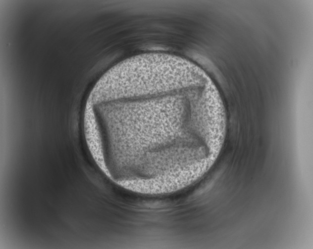 X0000088700533200706282025