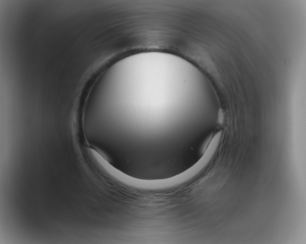 X0000088700536200706282025