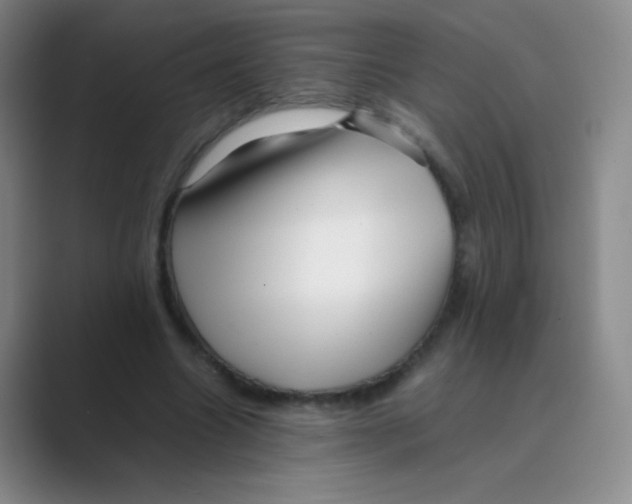 X0000088700538200706282025