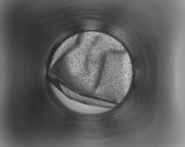 X0000088700539200706282025