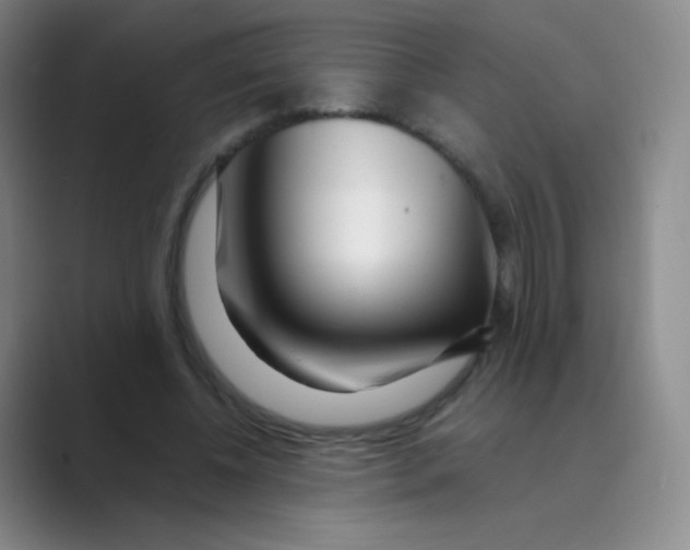 X0000088700540200706282025