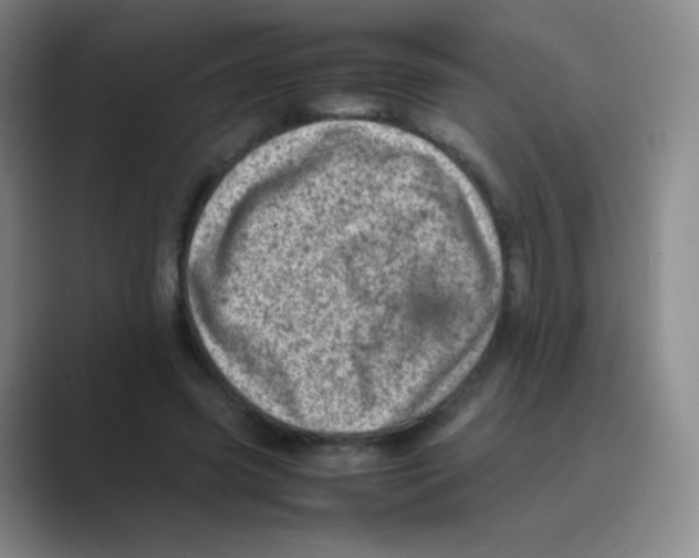 X0000088700541200706282025