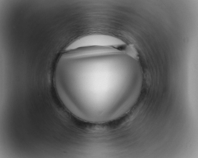 X0000088700546200706282025