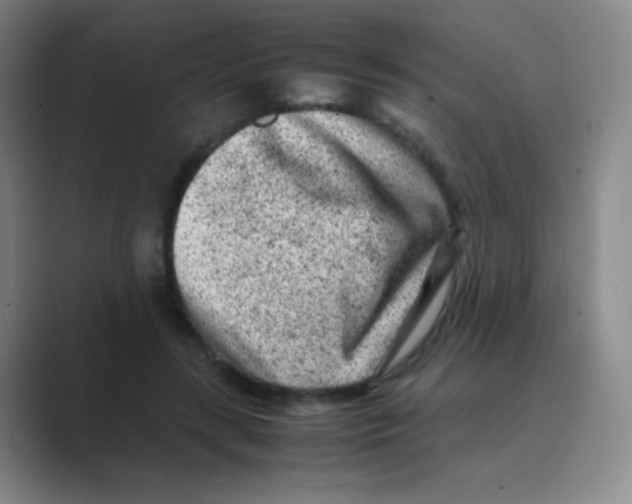 X0000088700547200706282025