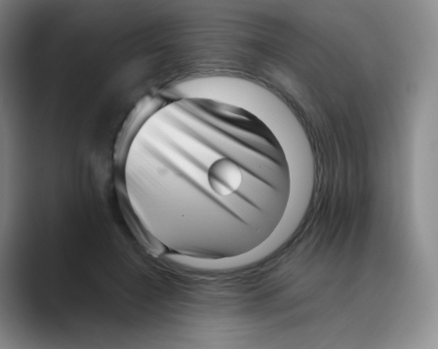 X0000088700548200706282025