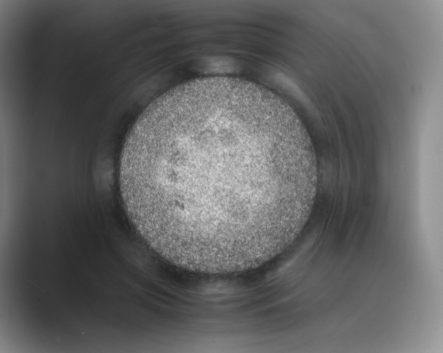 X0000088700549200706282025