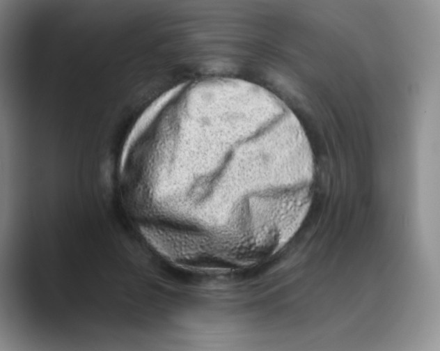 X0000088700550200706282025