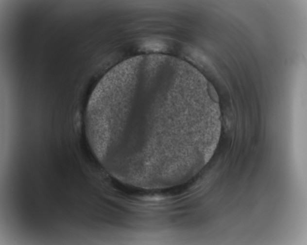 X0000088700551200706282025