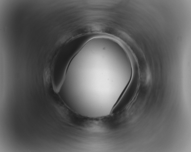 X0000088700552200706282025