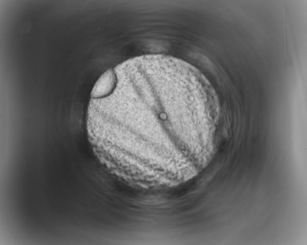 X0000088700553200706282025