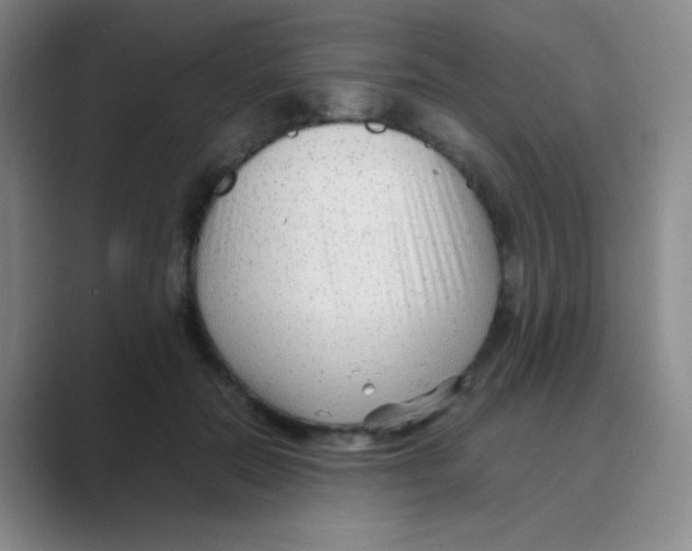 X0000088700554200706282025