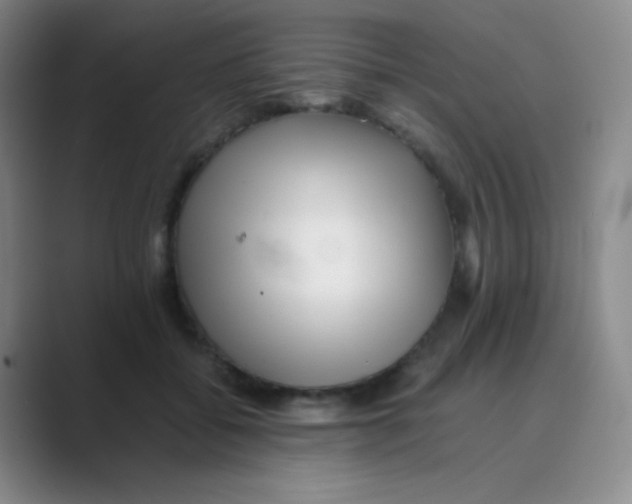 X0000088700556200706282025