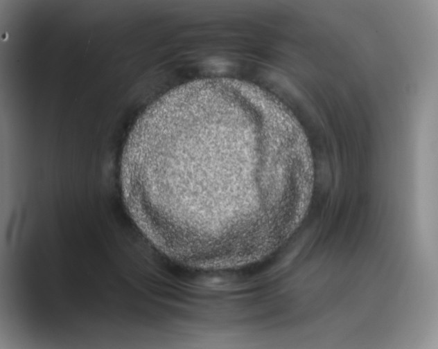 X0000088700557200706282025