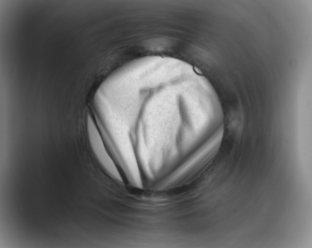 X0000088700559200706282025