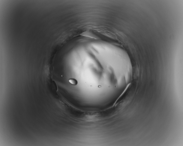 X0000088700560200706282025