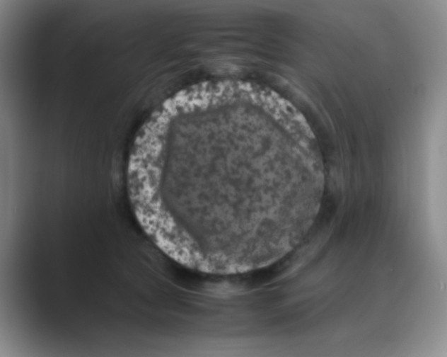 X0000088700561200706282025