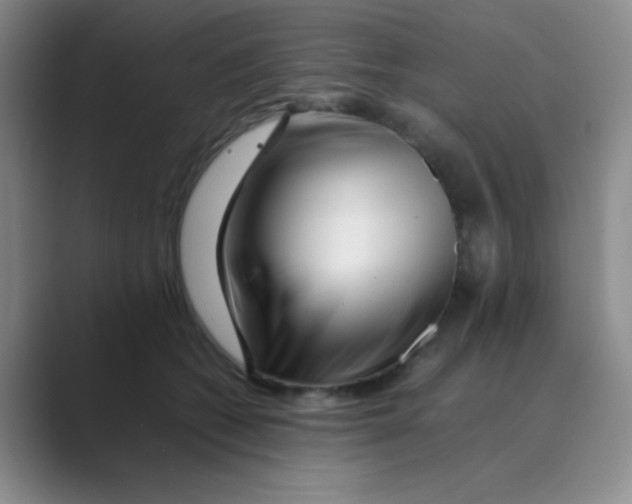 X0000088700562200706282025