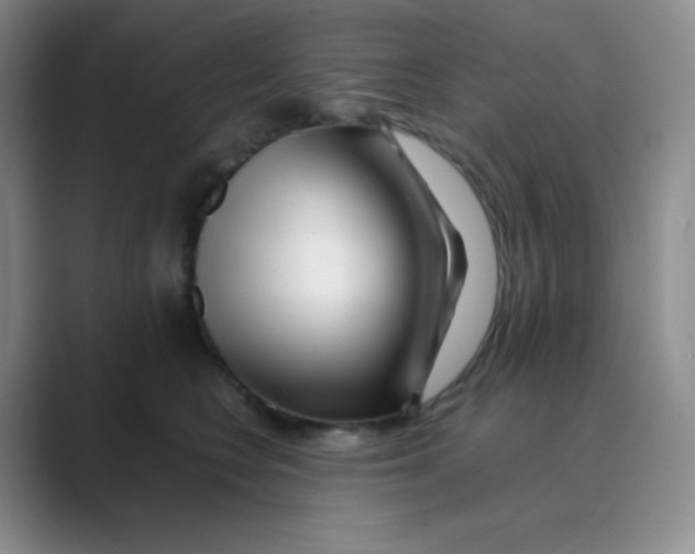 X0000088700566200706282025