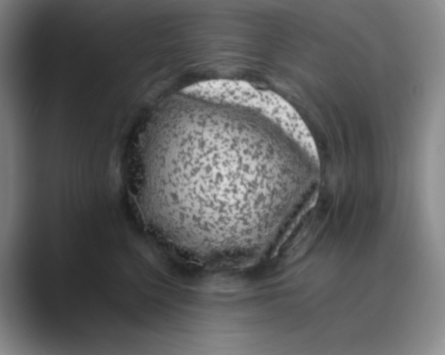 X0000088700568200706282025