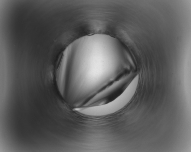 X0000088700570200706282025