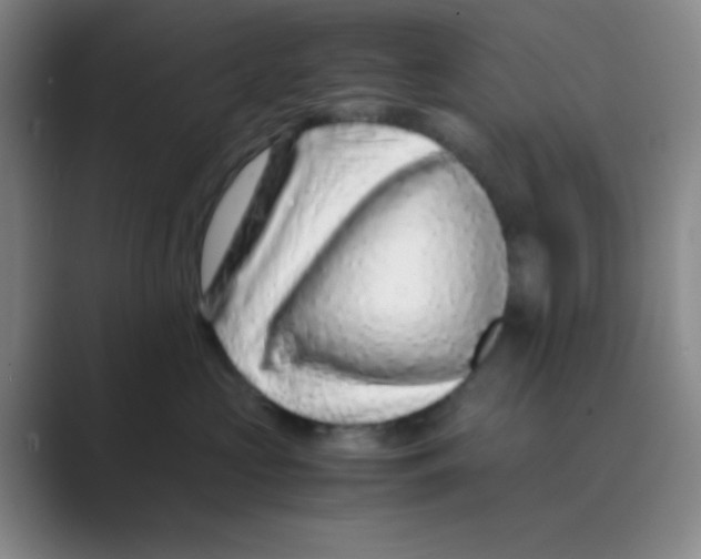 X0000088700573200706282025