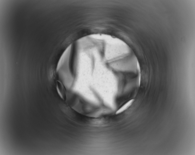 X0000088700574200706282025