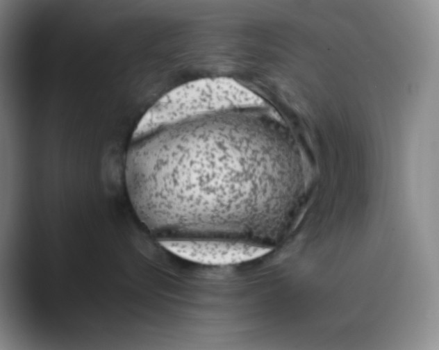 X0000088700576200706282025