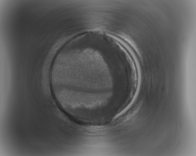 X0000088700577200706282025